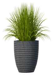 Plant Add-ons